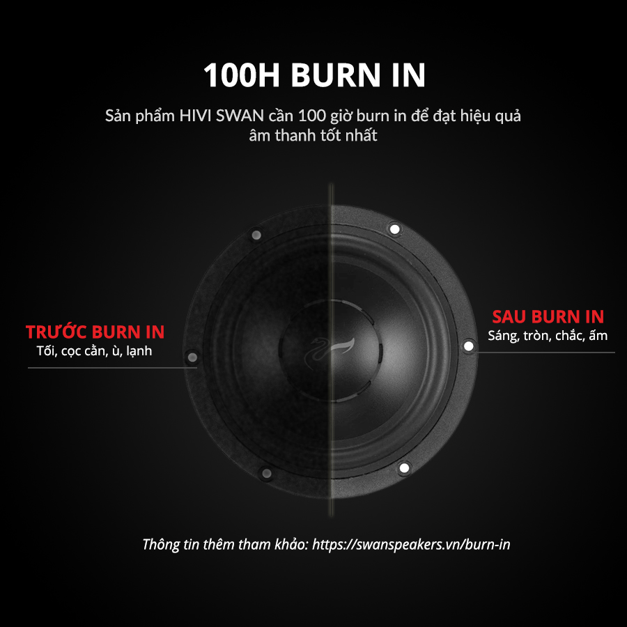 Loa Hivi Swan D1090 Loa kệ để phòng khách burn in loa swanspeakers vn