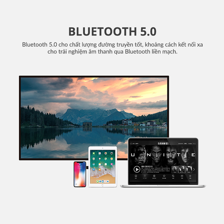 Loa Hivi Swan D100 Loa booshelf để bàn hivi swan d100 loa bluetooth 6
