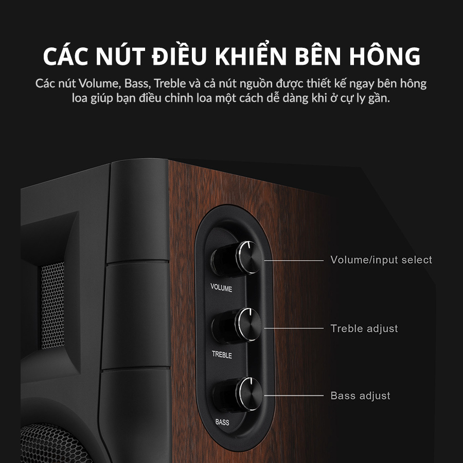 Loa Hivi Swan D100 Loa booshelf để bàn hivi swan d100 loa bluetooth 8