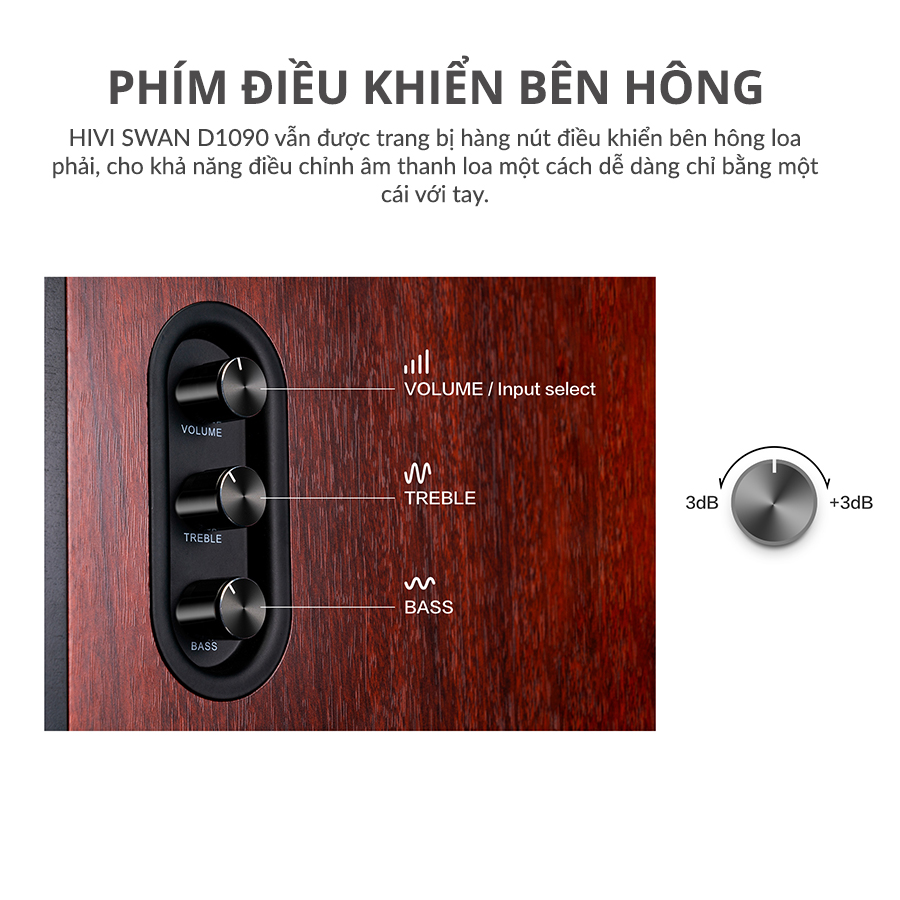 Loa Hivi Swan D1090 Loa kệ để phòng khách hivi swan d1090 loa bluetooth 11