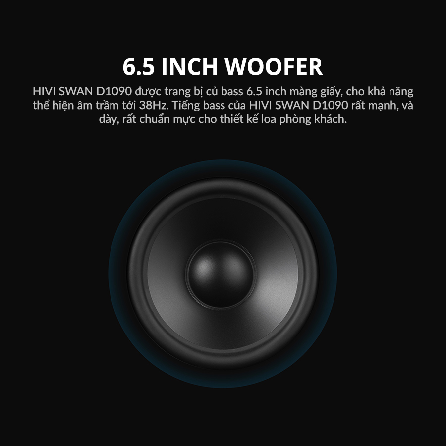 Loa Hivi Swan D1090 Loa kệ để phòng khách hivi swan d1090 loa bluetooth 6