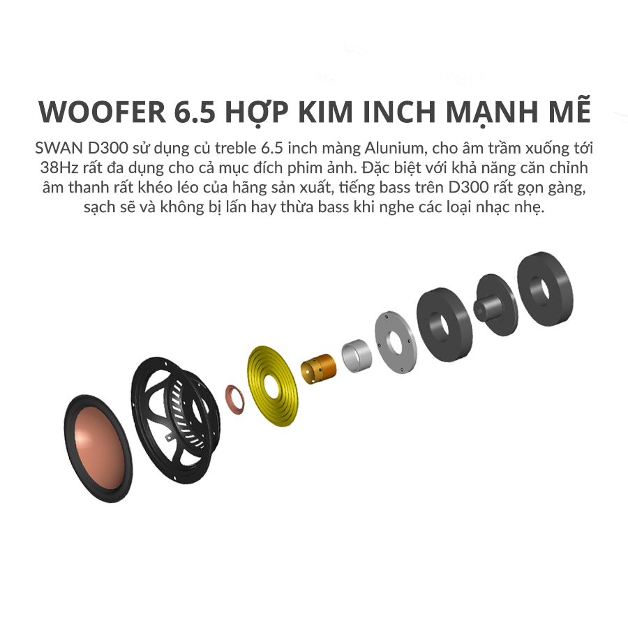 Loa Hivi Swan D300 hivi swan d300 loa bluetooth 5