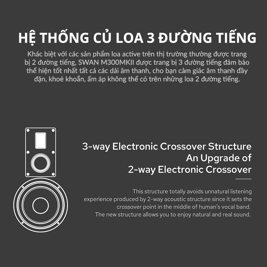 Loa HIVI SWAN M300MKII Loa kệ để phòng khách hivi swan m300mkii 3 1