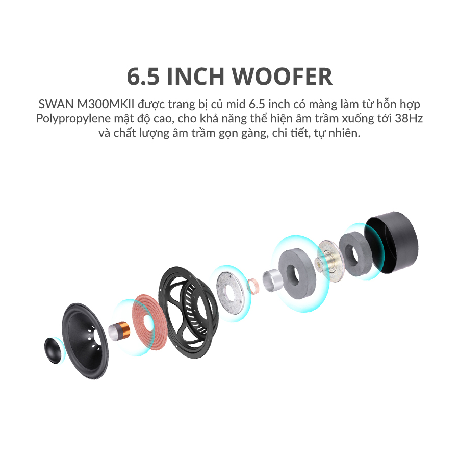 Loa HIVI SWAN M300MKII Loa kệ để phòng khách hivi swan m300mkii 6