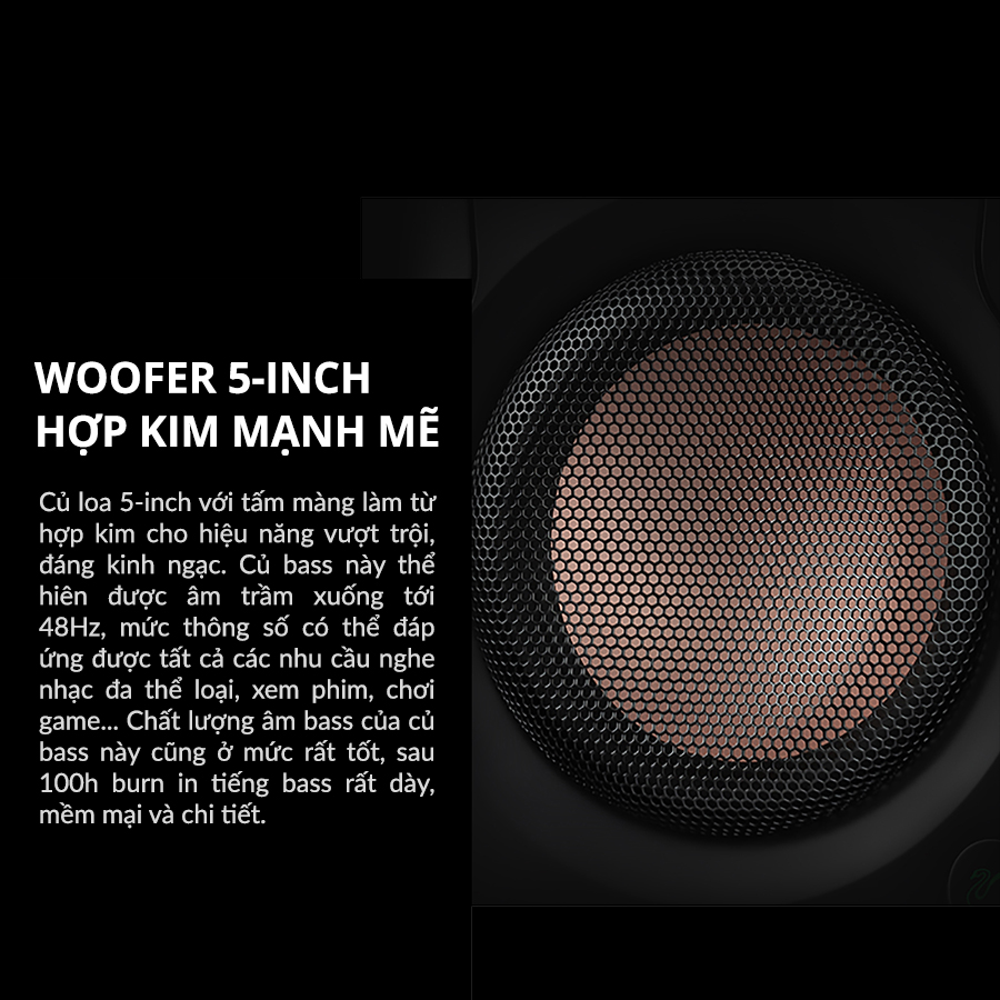 hivi swan d200 loa bluetooth 7