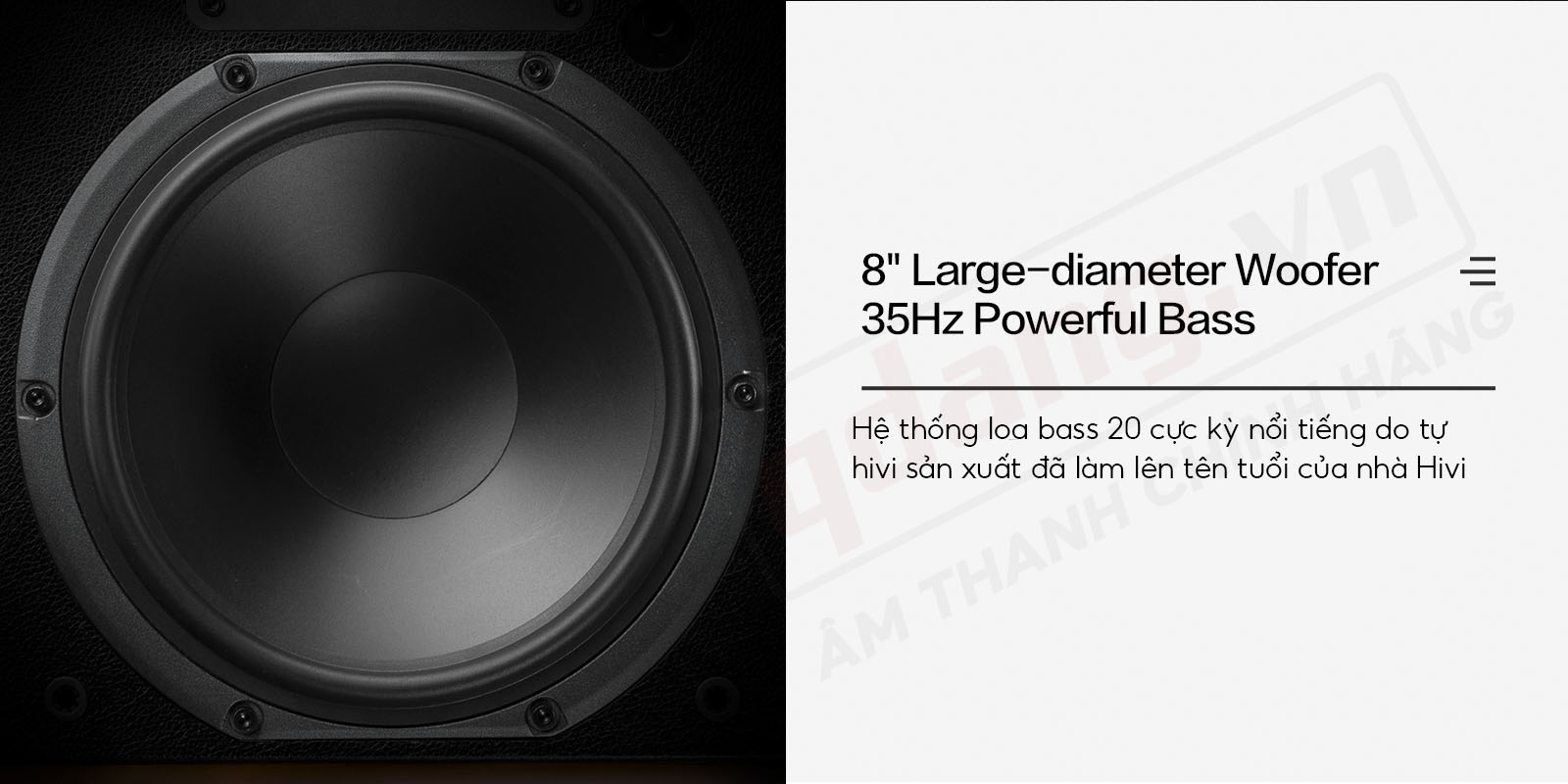 HIVI SWAN M5A 6