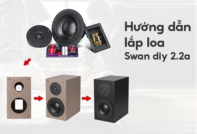 hướng dẫn lắp loa hivi swan DIY 2.2a